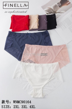 Majtki damskie (2XL-4XL) 90164