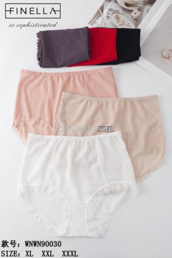 Majtki damskie (XL-3XL) 90030