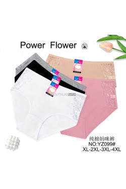 Majtki damskie (XL-4XL) YZ099