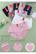 Majtki damskie (XL-3XL) 1