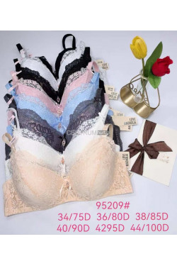 Biustonosz kolor do wyboru MISKA D 95209D
