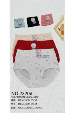 Majtki damskie (XL-4XL) 2220