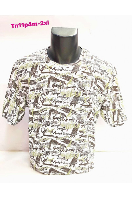 Koszulka męska (M-2XL) D13