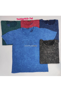 Koszulka męska (3XL-7XL) D1429