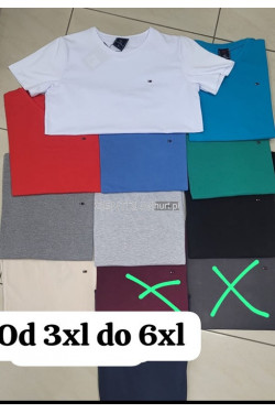 Koszulka męska Turecka (3XL-6XL) 2939