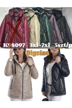 Kurtki damskie przejściowe (3XL-7XL) K98097