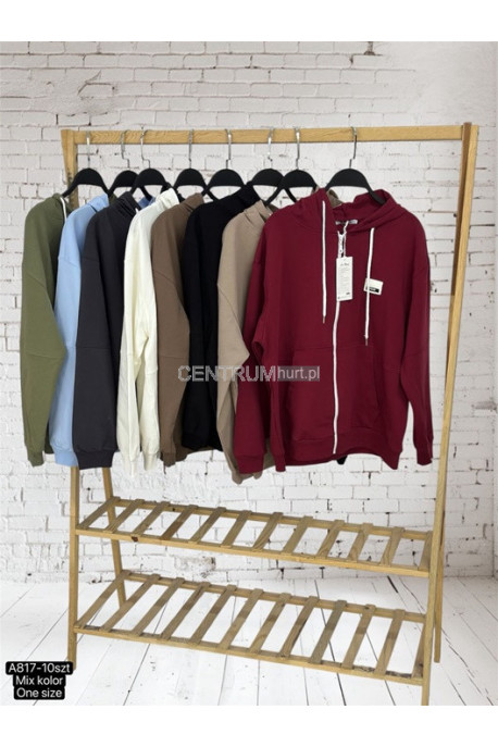 Bluza damska 1
