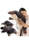maskotka DELFIN 50 CM 230701
