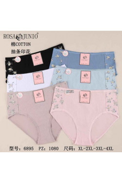 Majtki damskie (XL-4XL) 6895