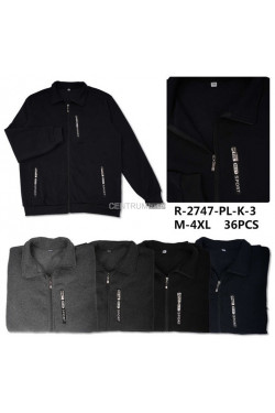 Bluza męska (M-4XL) R-2747