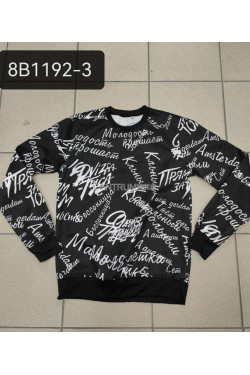 Bluza męska (M-2XL) 57