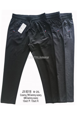 Spodnie dresowe męskie (M-2XL) JX6018