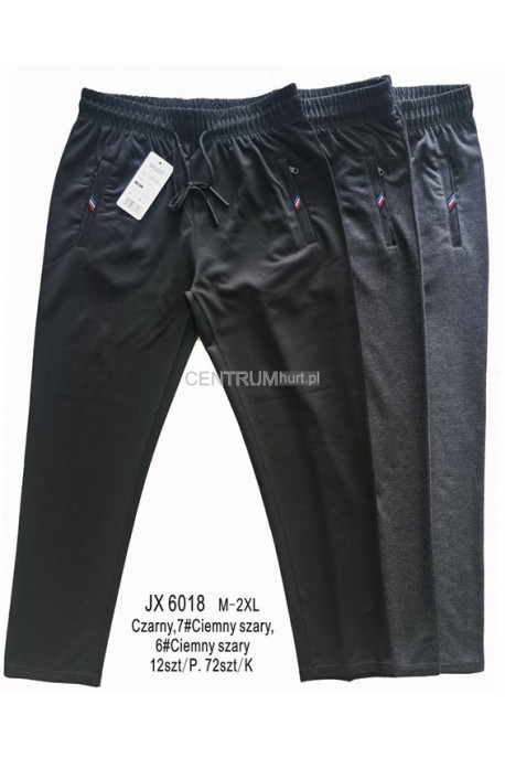 Spodnie dresowe męskie (M-2XL) 1
