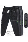 Spodnie dresowe męskie (M-2XL) 1