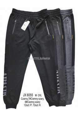 Spodnie dresowe męskie (M-2XL) JX6055