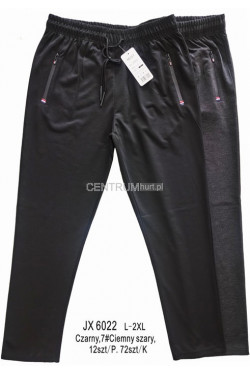 Spodnie dresowe męskie (L-2XL) JX6022