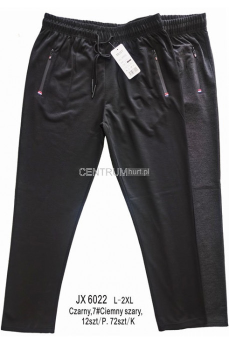 Spodnie dresowe męskie (M-2XL) 1