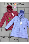 Kurtki damskie przejściowe (2XL-7XL) 1