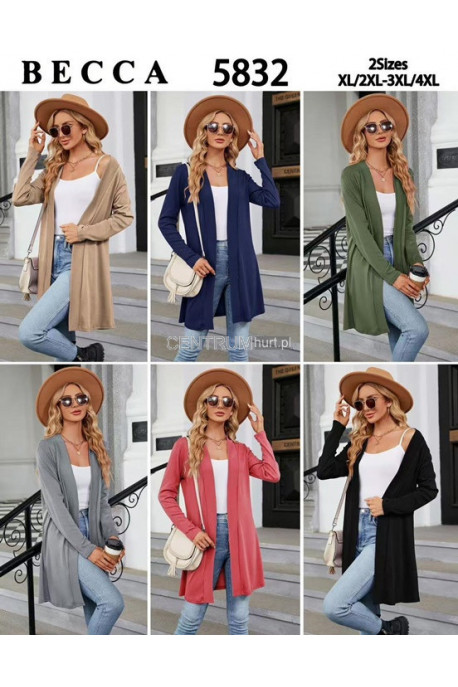 Sweter damski (L-3XL) 1