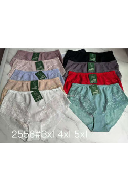 Majtki damskie (3XL-5XL) 2556