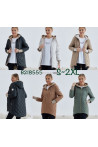 Kurtki damskie przejściowe (S-2XL) 1