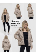 Kurtki damskie przejściowe (S-2XL) 2