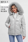 Kurtka damska zimowa (M-3XL) 1
