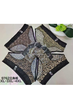 Majtki damskie (XL-4XL) 9762