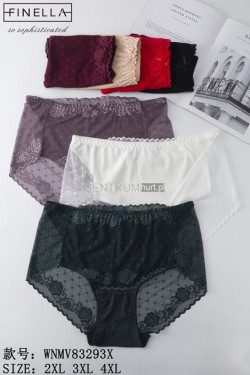 Majtki damskie (2XL-4XL) 83293X