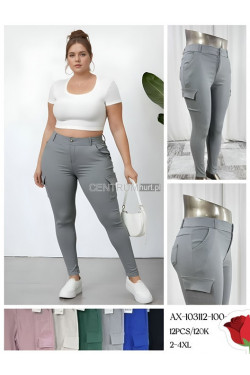 Leginsy damskie (2XL-4XL) AX-103112-100