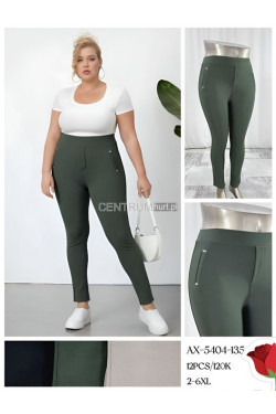 Leginsy damskie (2XL-6XL) AX-5404-135