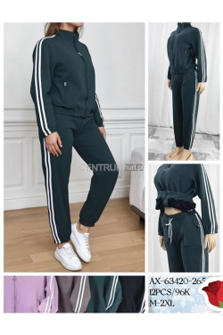 Komplet damskie (M-2XL) AX-63420-265