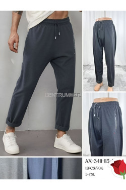 Spodnie dresowe męskie (3XL-7XL) AX-3411-115