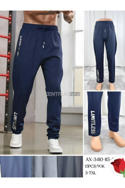 Spodnie dresowe męskie (3XL-7XL) AX-3410-115