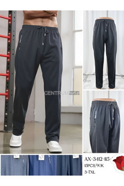 Spodnie dresowe męskie (3XL-7XL) AX-3412-115