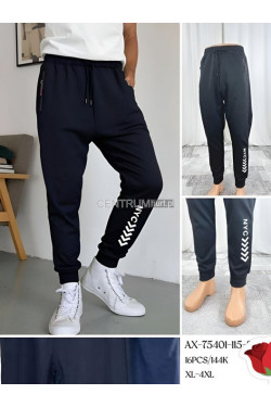 Spodnie dresowe męskie (XL-4XL) AX-75401-115