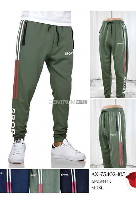 Spodnie dresowe męskie (M-3XL) 1