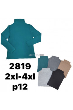Bluzka damska (2XL-4XL) 2819