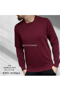 Bluza męska Turecka (M-2XL) 2515