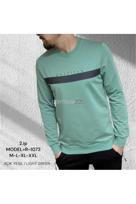 Bluza męska Turecka (M-2XL) 2511