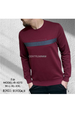 Bluza męska Turecka (M-2XL) 2526