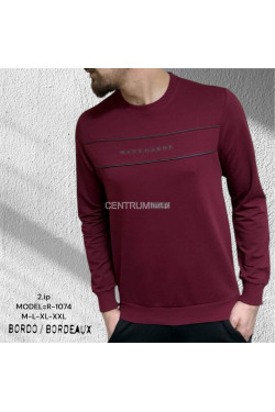 Bluza męska Turecka (M-2XL) 2540