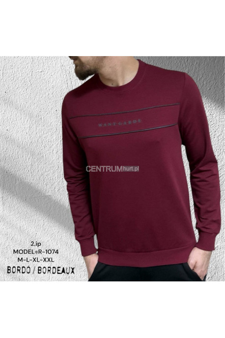 Bluza męska Turecka (M-2XL) 2533
