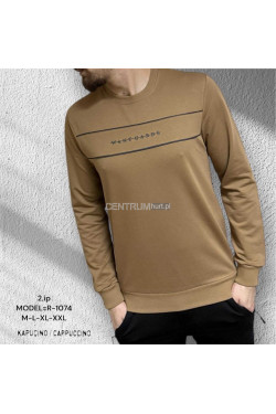 Bluza męska Turecka (M-2XL) 2543