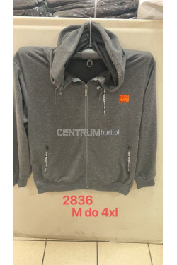 Bluza męska (M-4XL) 2836