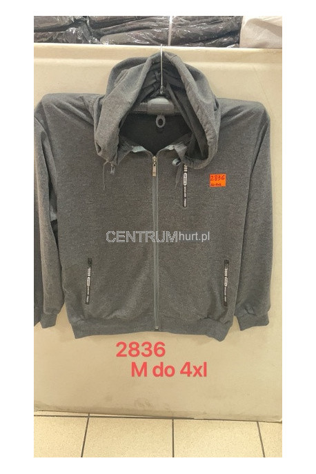 Bluza męska (M-2XL) 3106