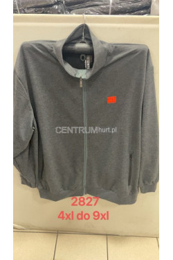 Bluza męska (4XL-9XL) 2827