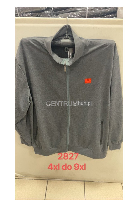 Bluza męska (M-4XL) 2820