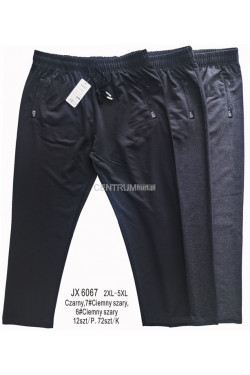 Spodnie dresowe męskie (2XL-5XL) JX6067