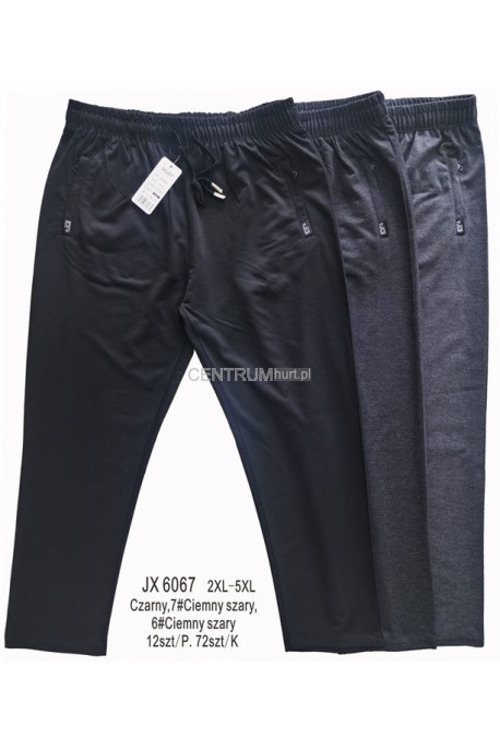 Spodnie dresowe męskie (2XL-5XL) 1